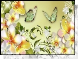 Kwiaty, Plumeria, Motyle, Art